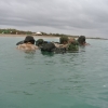 Force Recon Course 2015_089